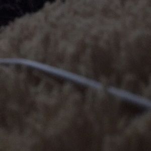 Meet your Posher, Terry